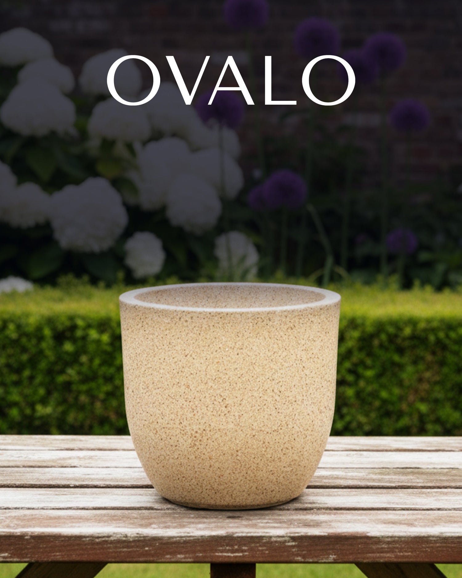 OVALO