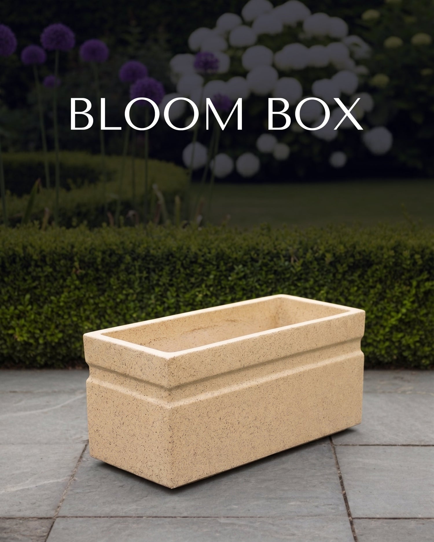 BLOOM BOX