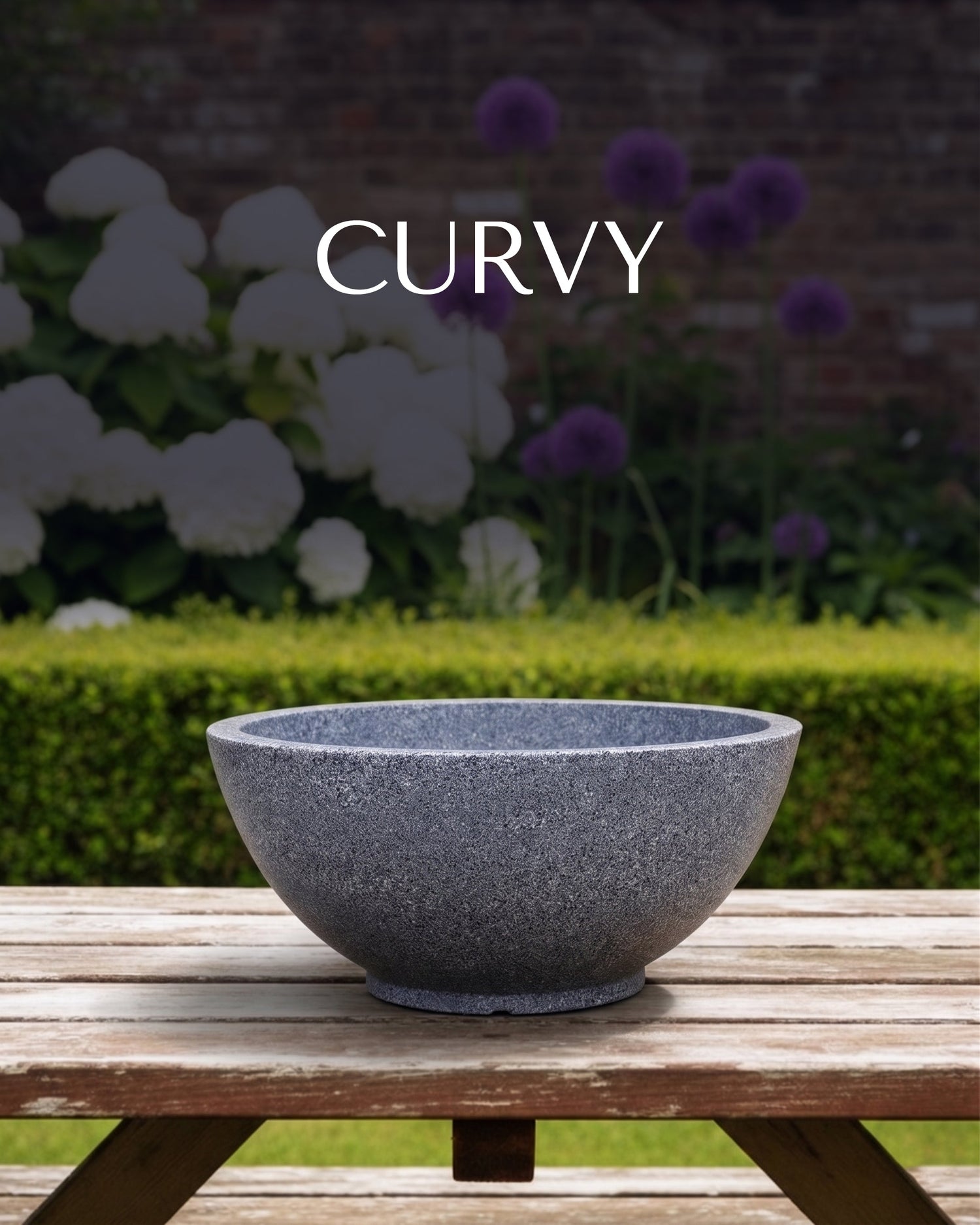 CURVY