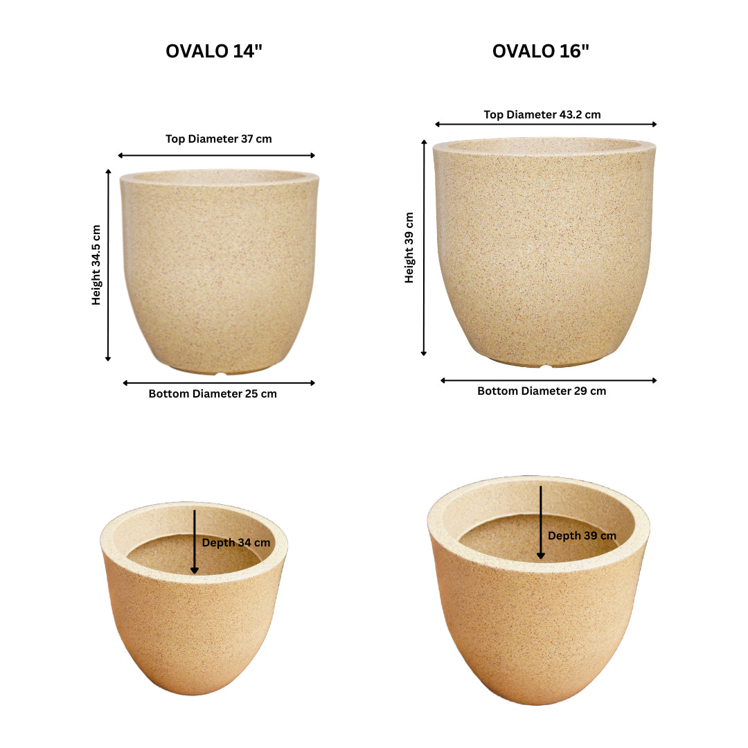 Ovalo Sand Stone Atul Gardenia Unbreakable Indoor & Outdoor Planter