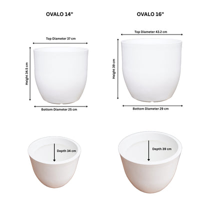 Ovalo White Atul Gardenia Unbreakable Indoor & Outdoor Planter