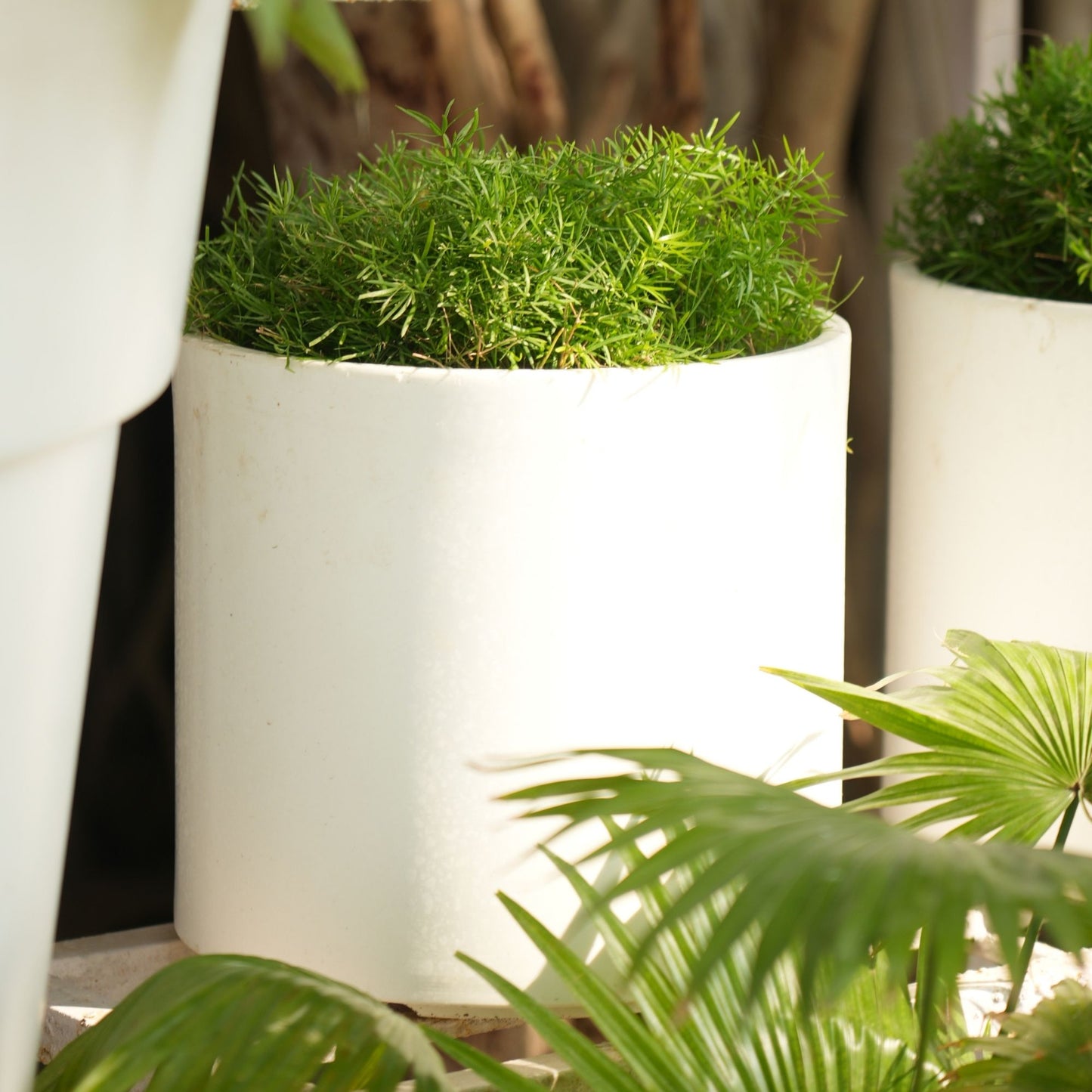 Oasis White Atul Gardenia Unbreakable Indoor & Outdoor Planter