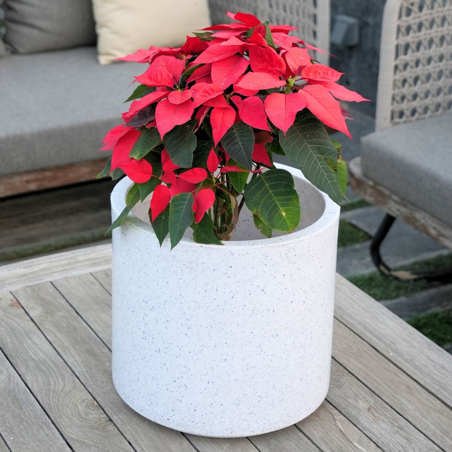Oasis Marble White Atul Gardenia Unbreakable Indoor & Outdoor Planter