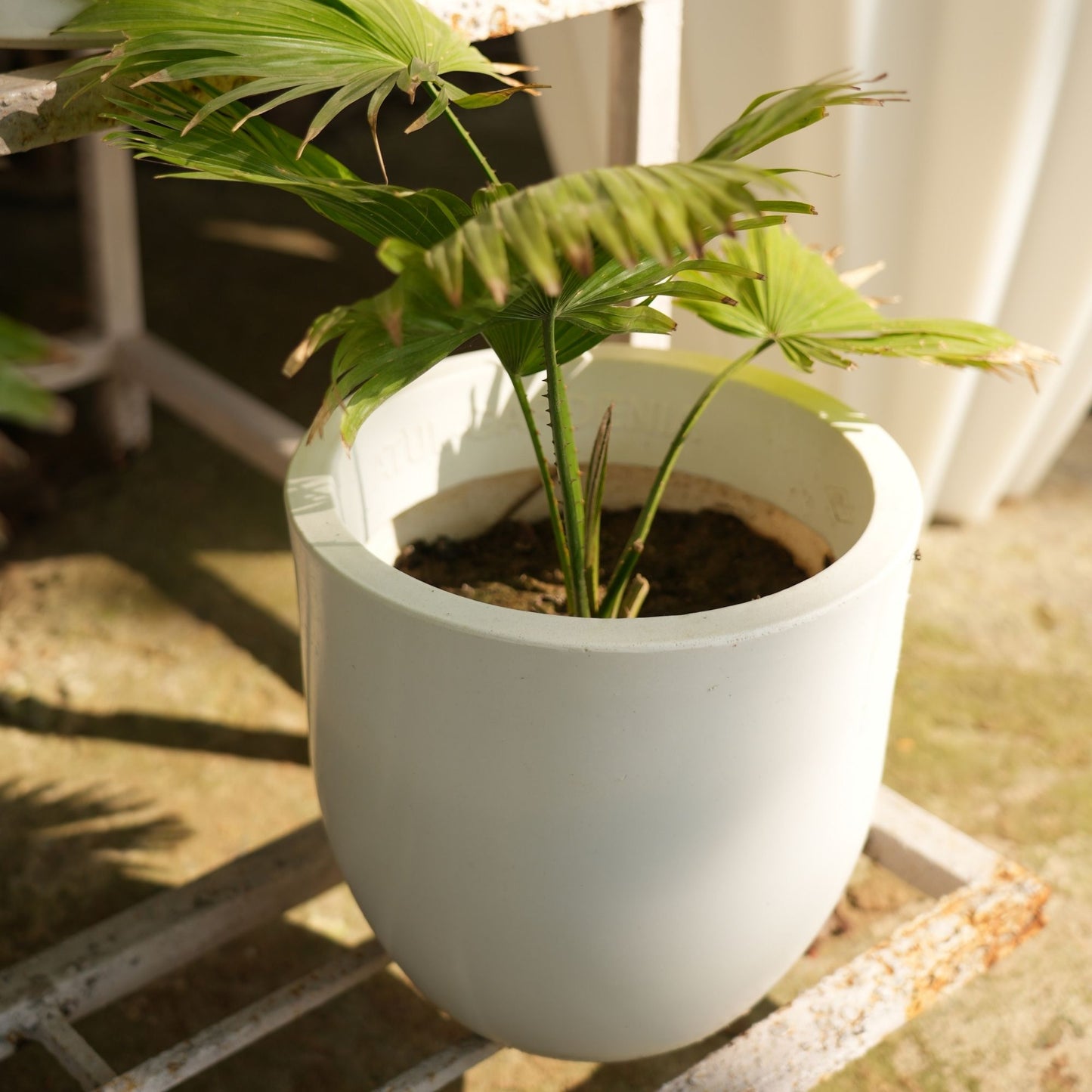 Ovalo White Atul Gardenia Unbreakable Indoor & Outdoor Planter