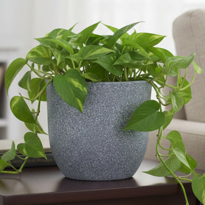 Ovalo Mosaic Grey Atul Gardenia Unbreakable Indoor & Outdoor Planter