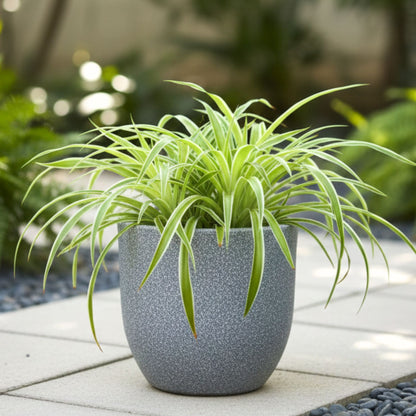 Ovalo Mosaic Grey Atul Gardenia Unbreakable Indoor & Outdoor Planter