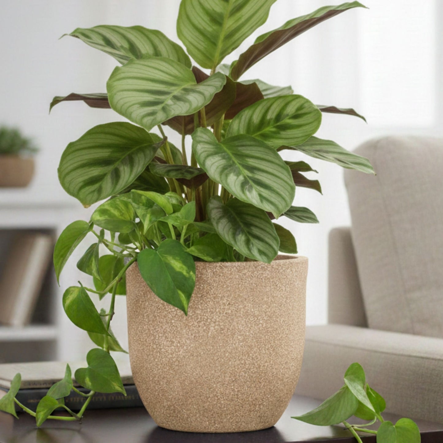 Ovalo Sand Stone Atul Gardenia Unbreakable Indoor & Outdoor Planter